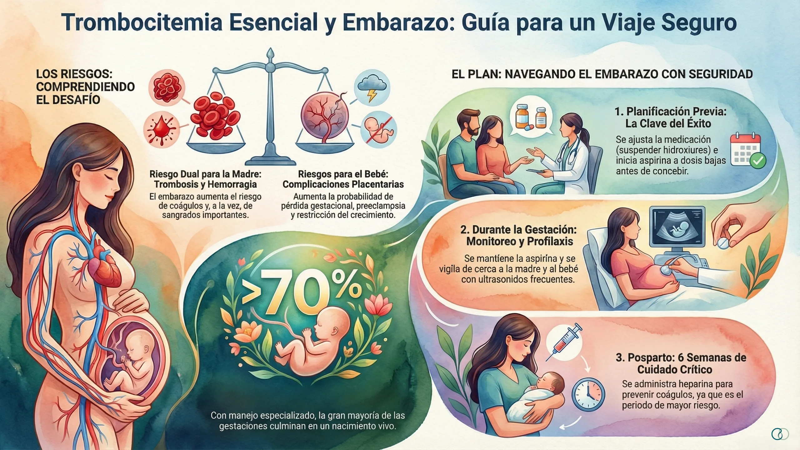 Infografía que representa las intervenciones médicas en las etapas de un embarazo con trombocitemia esencial